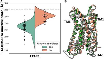 Biasing AlphaFold2 to predict GPCRs and kinases with user-defined functional or structural properties